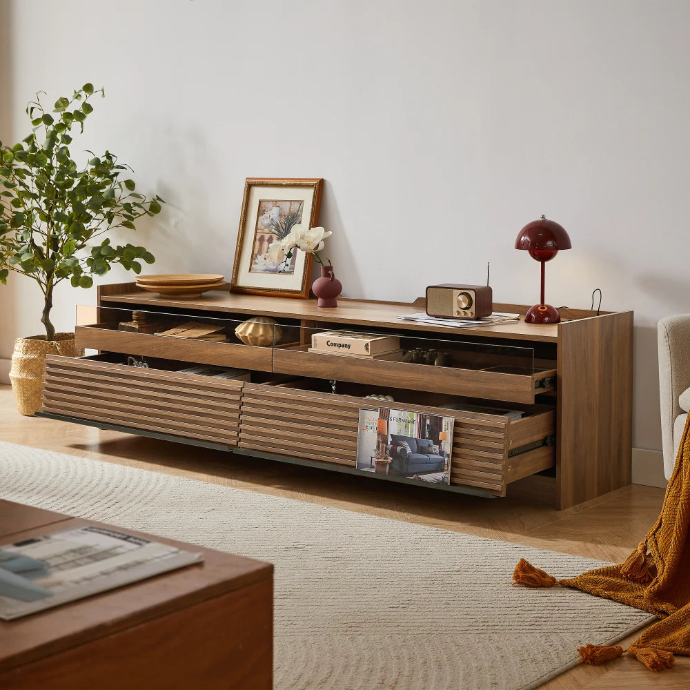 TV Stand with Storage