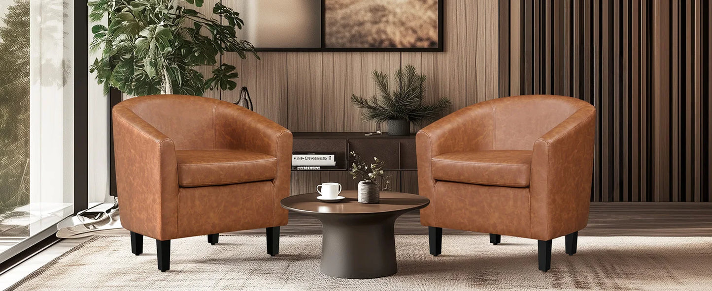 Accent Chairs Set of 2