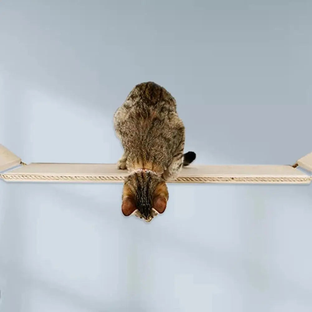 Wall Mounted Cat Climbing Ladder
