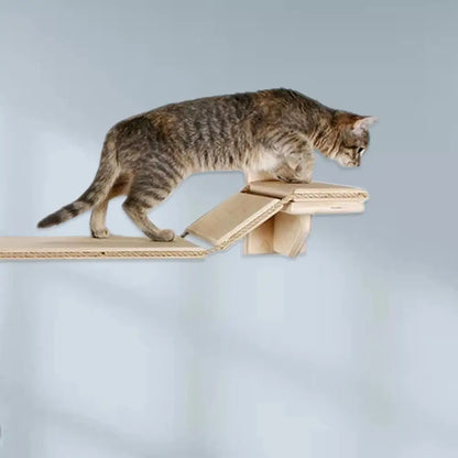 Wall Mounted Cat Climbing Ladder