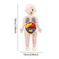 Human Body Model Anatomy