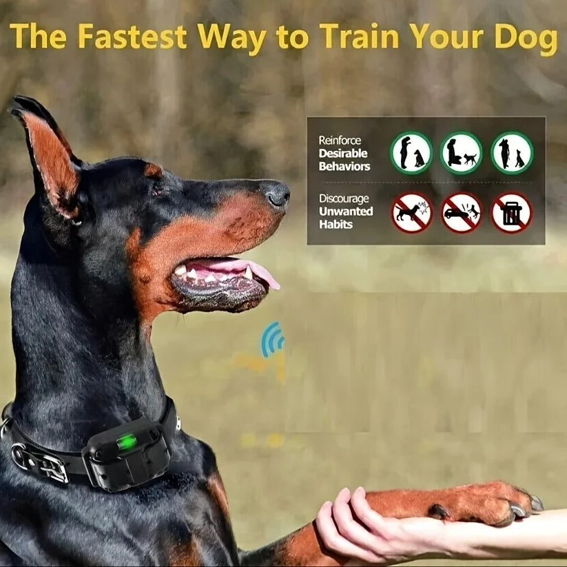 Electric Dog Training Collar