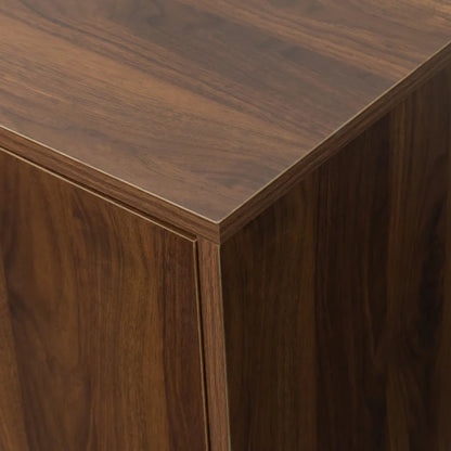 Modern minimalist TV stand