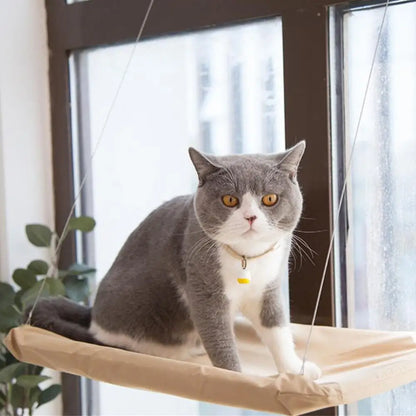 Window Cat Hammock