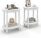 Oval End Tables Set of 2