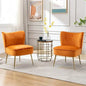 Modern Accent Chair Set of 2
