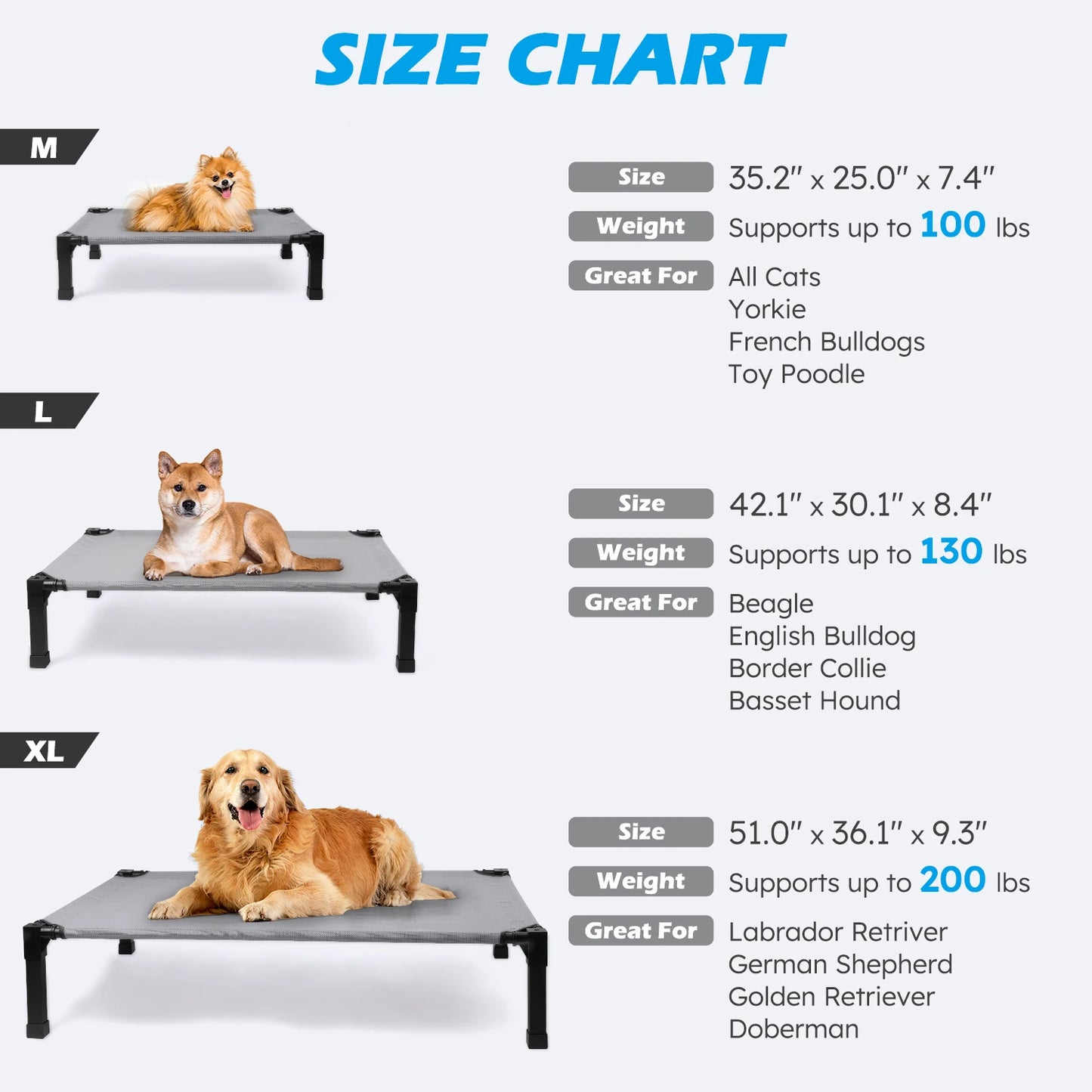 Elevated Dog Bed