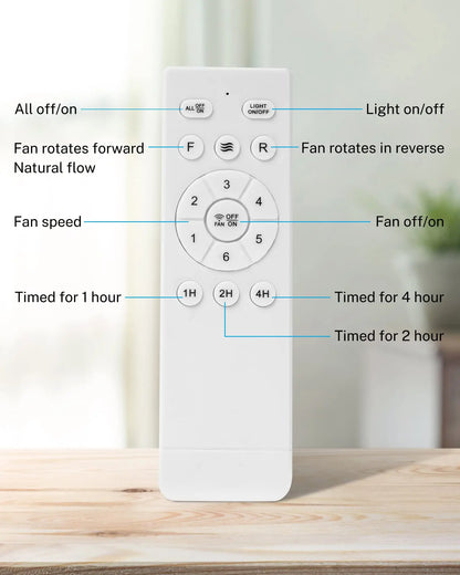 18'' Black Caged Ceiling Fan with Lights