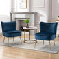 Modern Accent Chair Set of 2