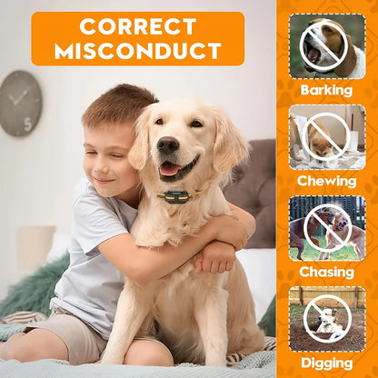 Electric Dog Training Collar