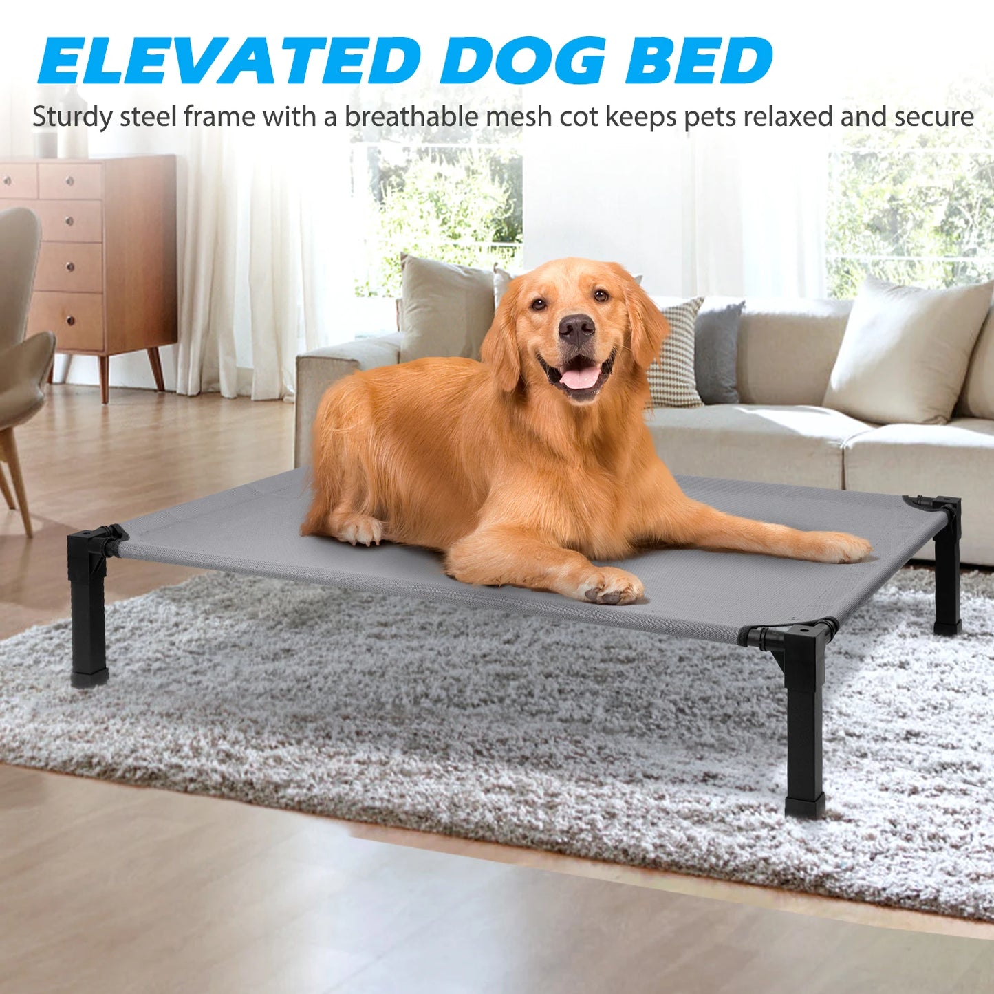Elevated Dog Bed