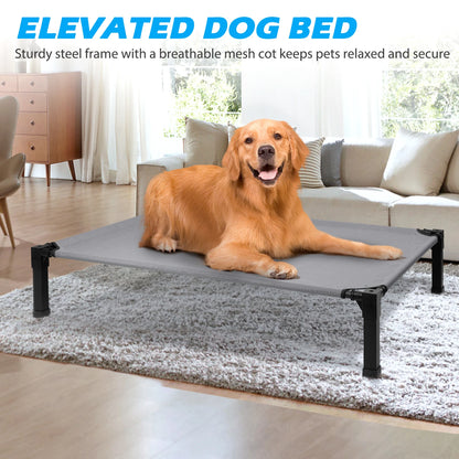 Elevated Dog Bed