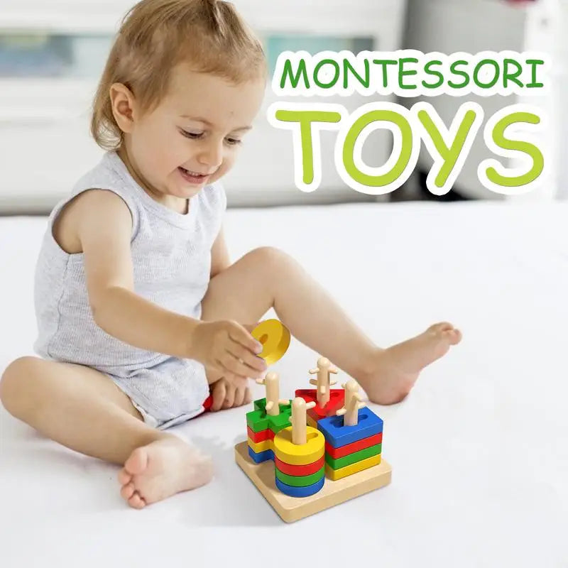 Toy Shape Color Recognition Blocks