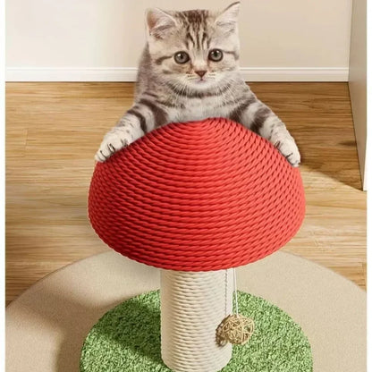 Mushroom Cats Scratching Column