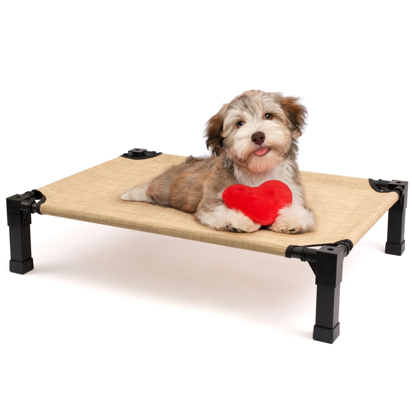 Elevated Dog Bed