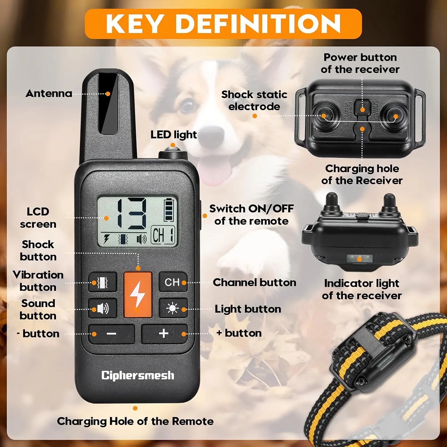 Electric Dog Training Collar