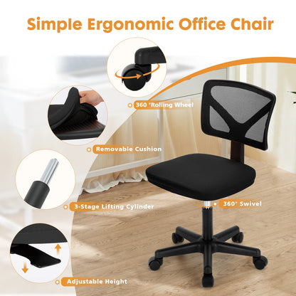 Lumbar Support Armless Office Chair